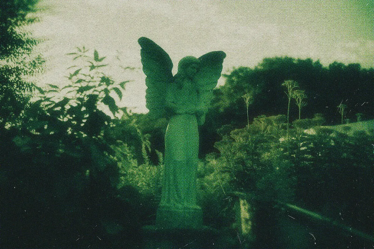 Greenish Postcard Photo Effect