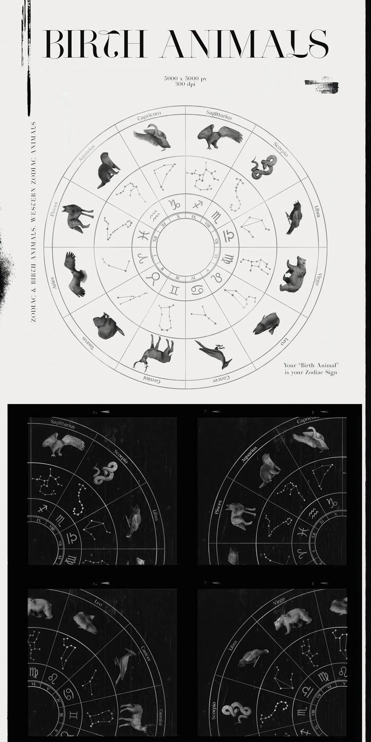 Spirit Animals. Oracle Cards