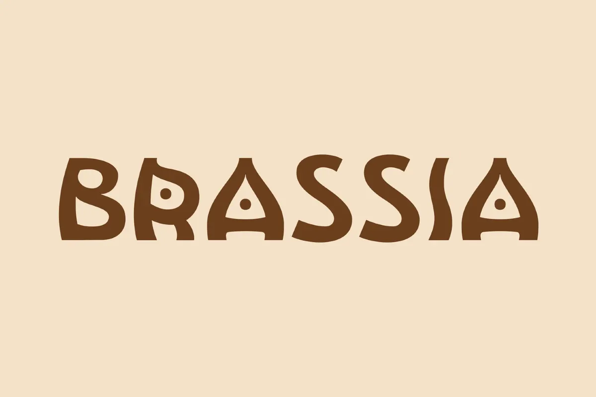 Brassia - Decorative Display Font