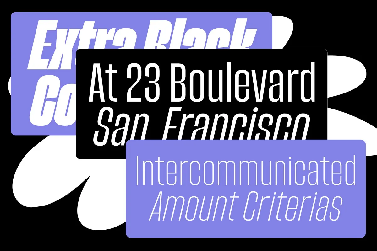 Spanik - Bold Display Sans Serif Superfamily