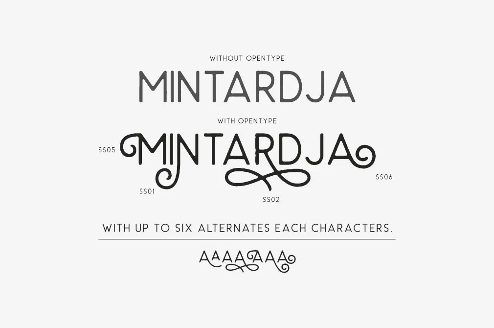 Carrol Wild Sans Serif Typeface