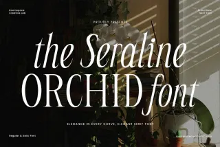 Seraline Orchid – Modern Elegant Serif Font