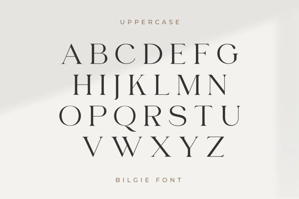 Bilgie - Chic Elegant Font