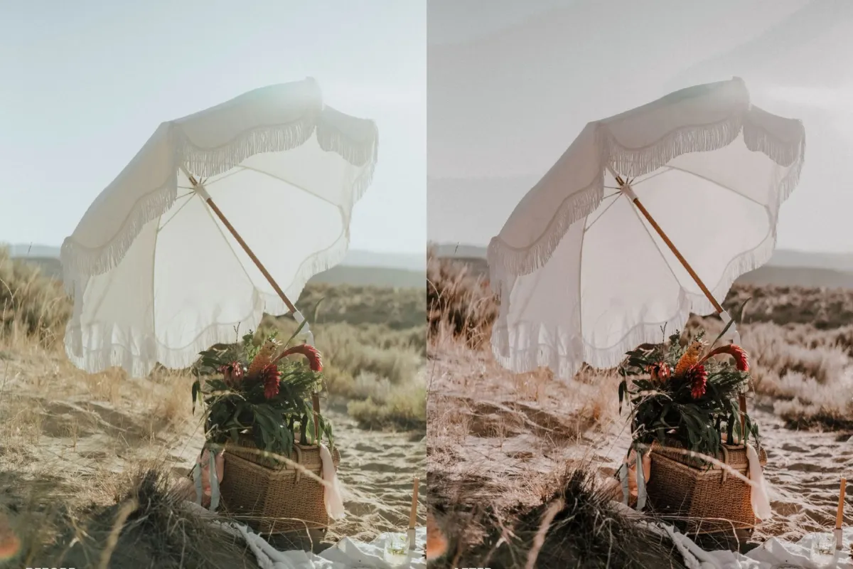 Earth Tones Lightroom Presets