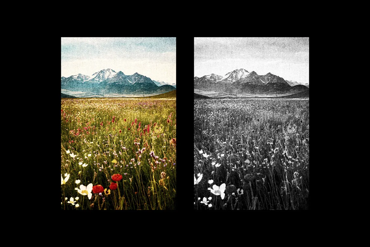 Vintage Postcard Photo Effect