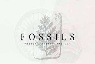 Fossils Vector Illustrations Set