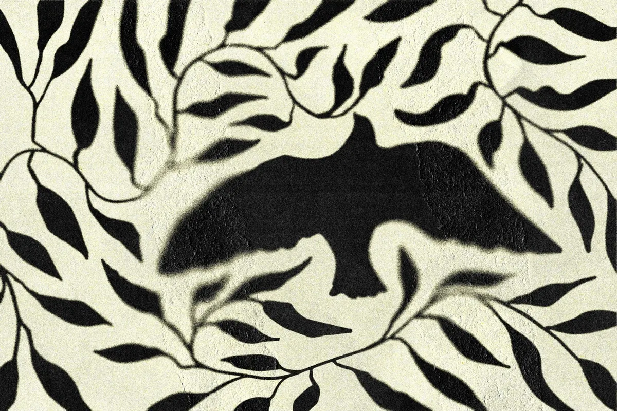 Paper Print Effect