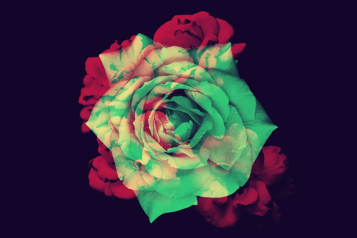 Elegant Flower Photoshop Brushes