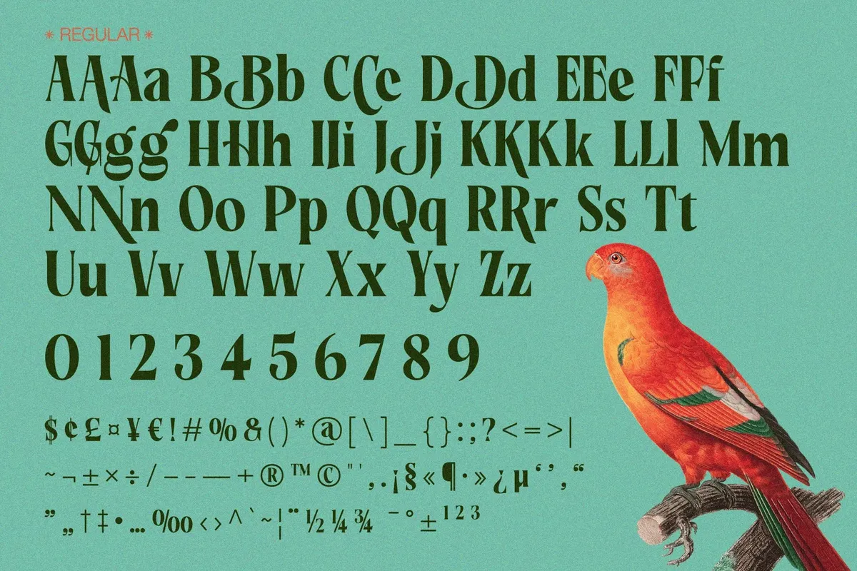 Rakizen Bisrony - Vintage Elegant Serif Font