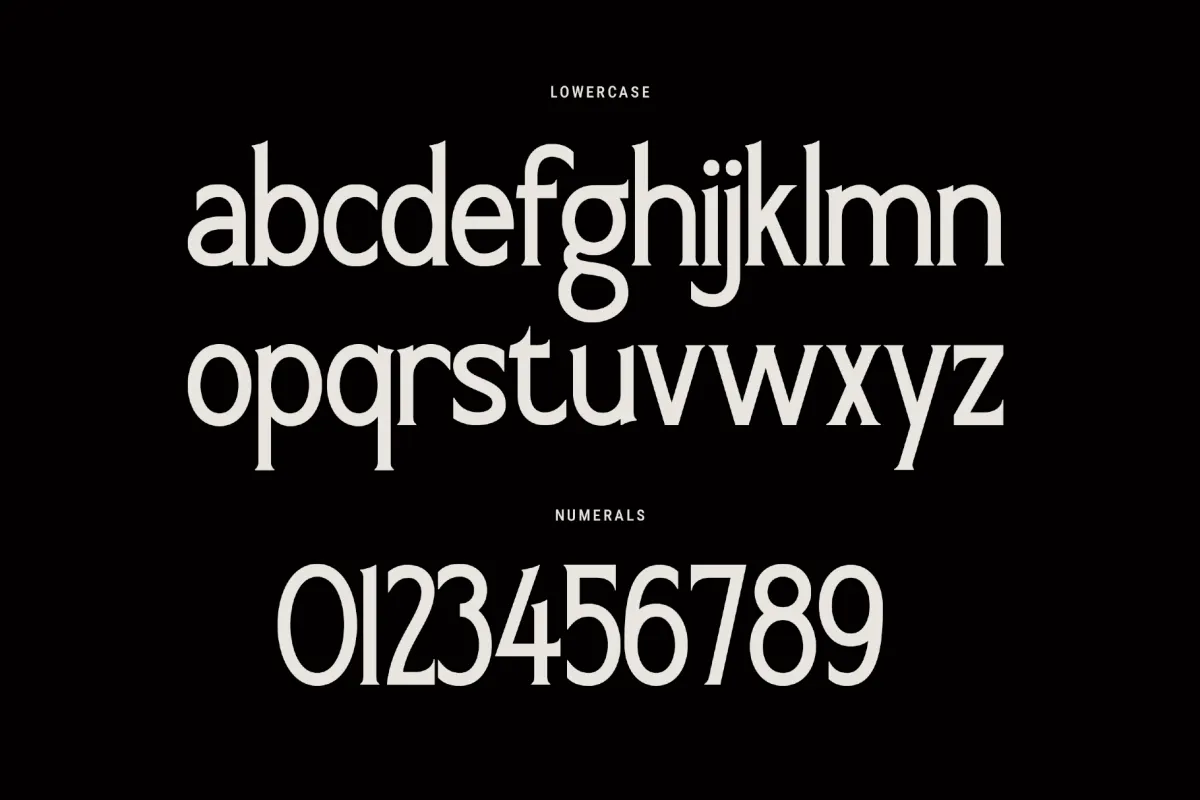 Elanche - Classic Editorial Serif Font