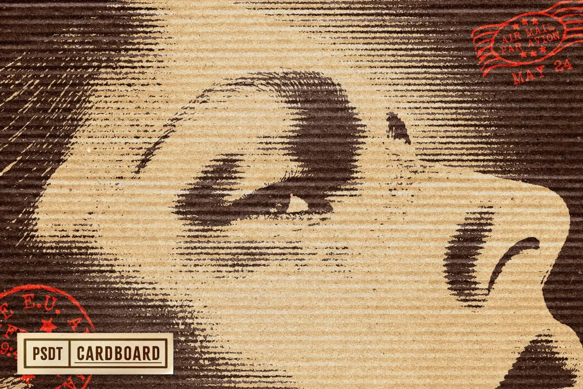 Kraft Cardboard Photo Effect