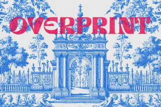 Overprint Photo Effect