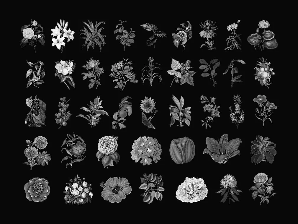 WHYTE Collage Graphic Pack