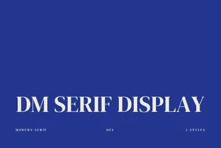 DM Serif Display - Free Font