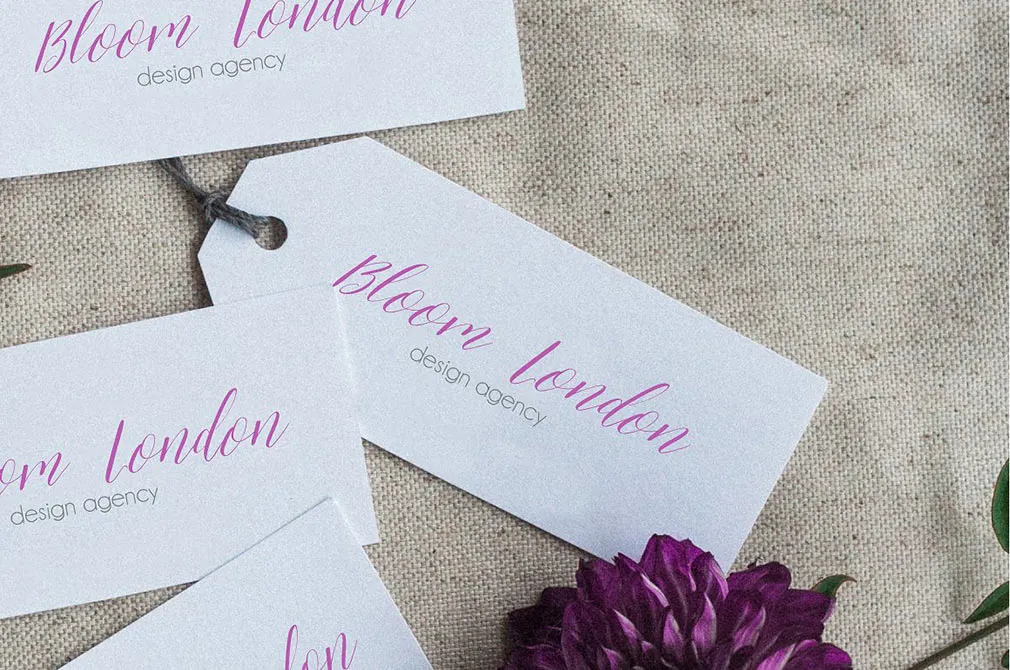 Alivia Script Font