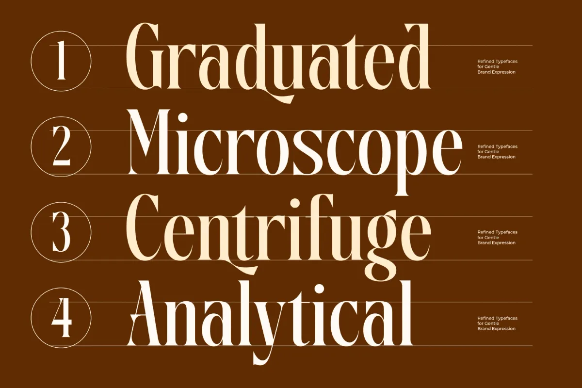 Disriete - Modern Serif Display Font