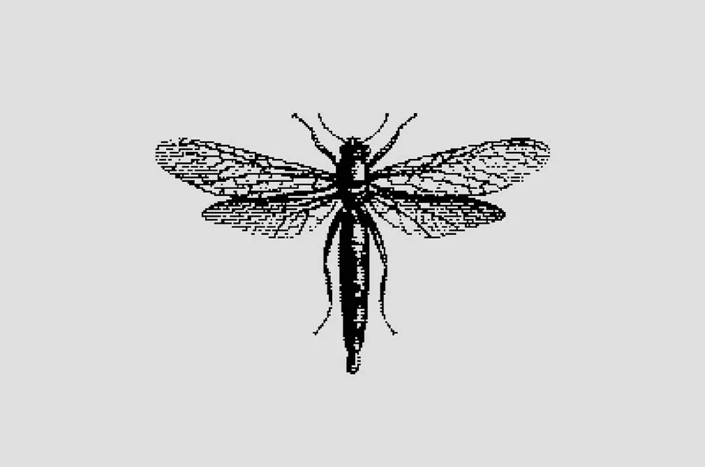 Bugs Dithering Bitmap Vector Shapes