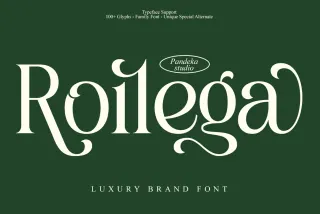 Roilega - Elegant Luxury Serif Family Font