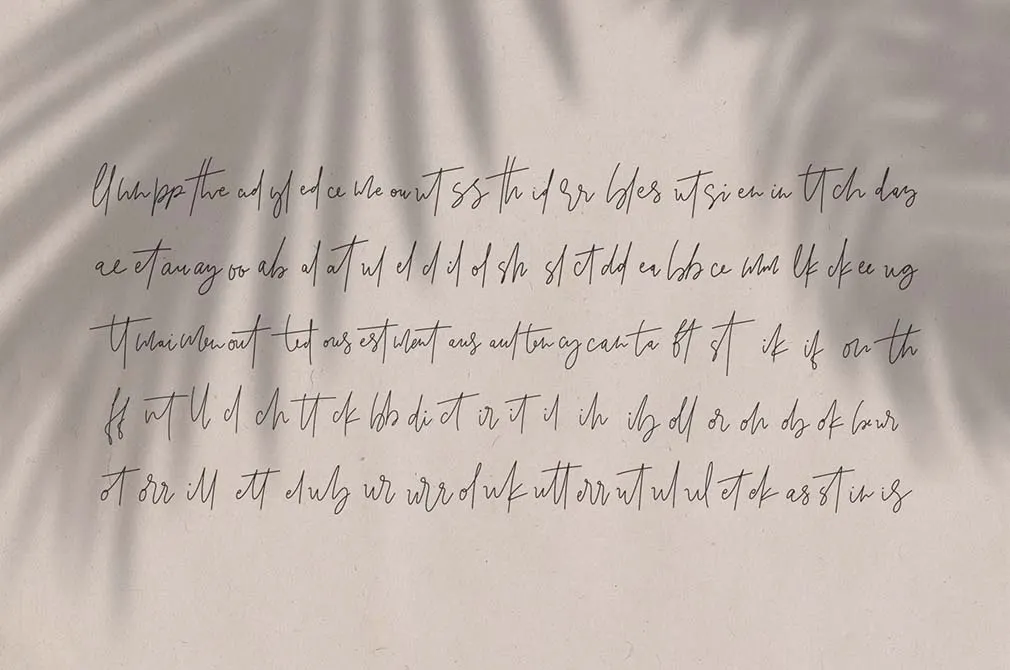 Marseille & Amsterdam Font Duo