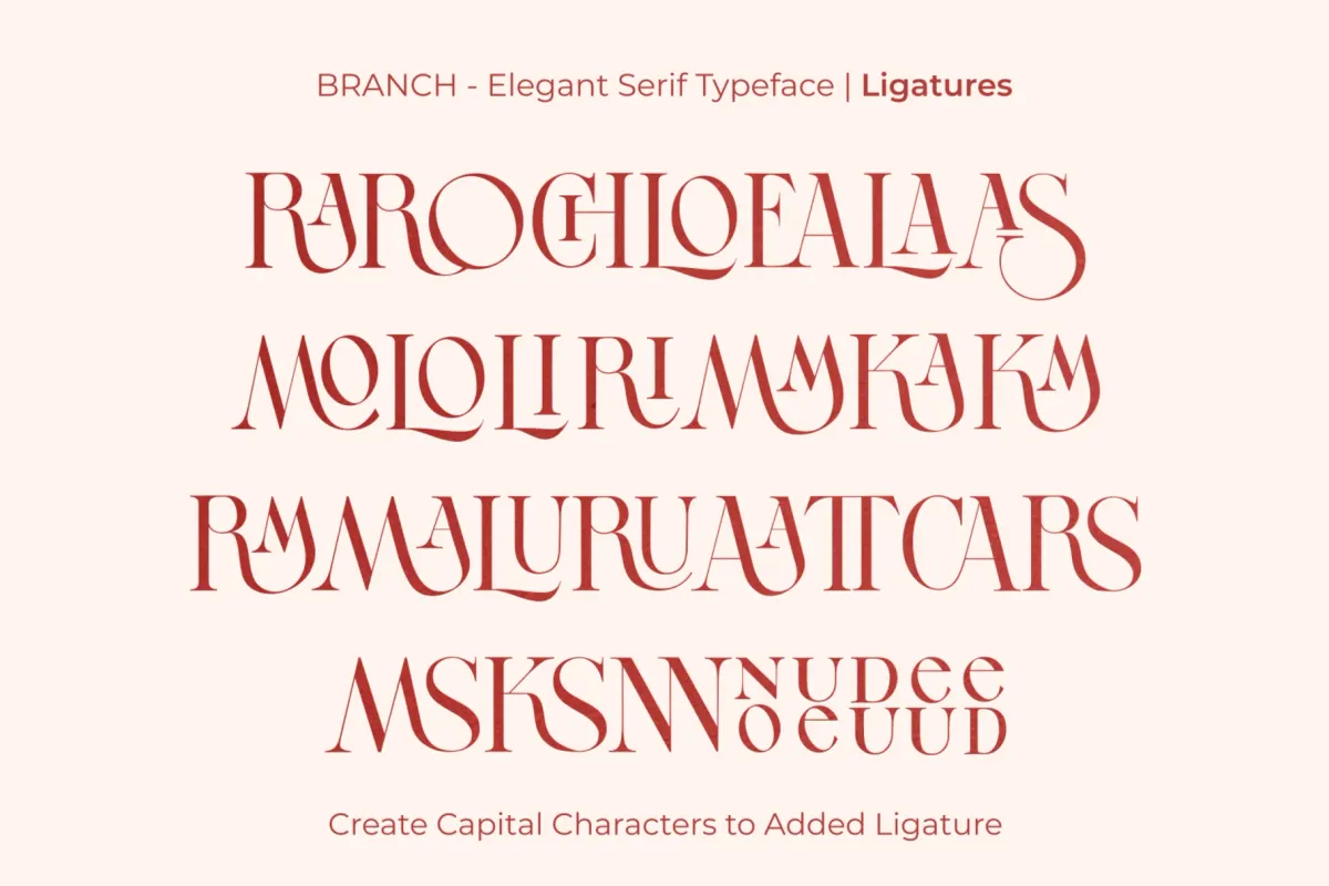 BRANCH - Elegant Serif Font
