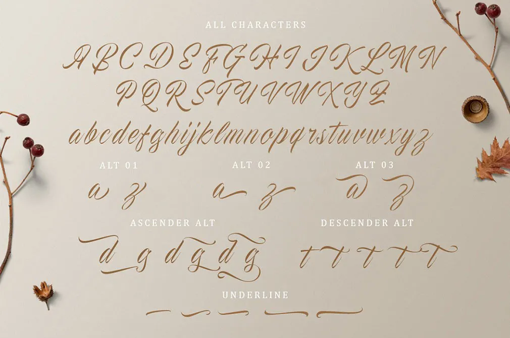 The Proactive Script Font