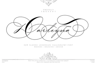 Darleyna Calligraphy Script