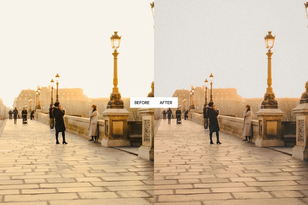 Vintage Grain Film Lightroom Presets