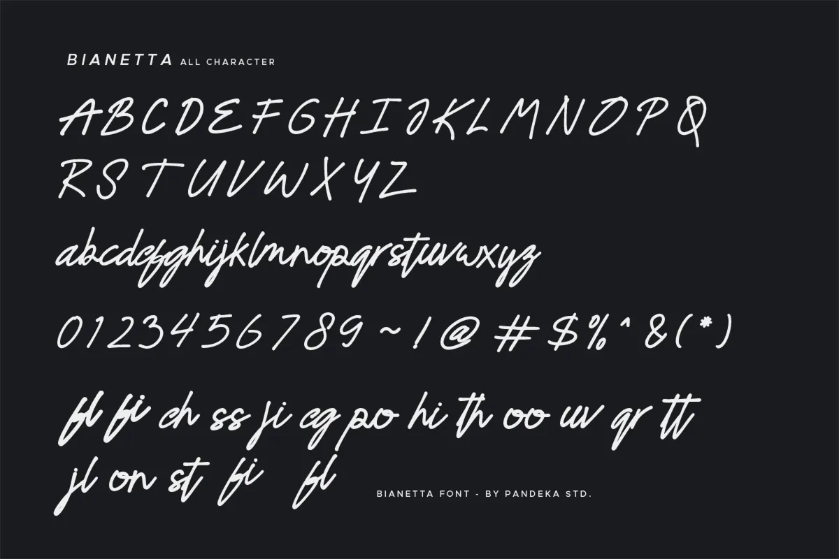 Bianetta - Modern Script Font