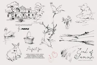 End of Summer: Line Art Collection