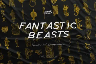 Fantastic Beasts Illustrations
