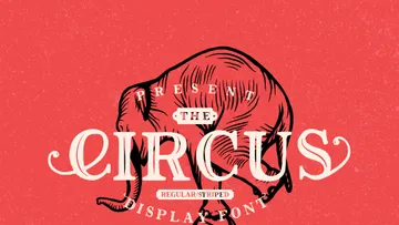 The Circus Display Font