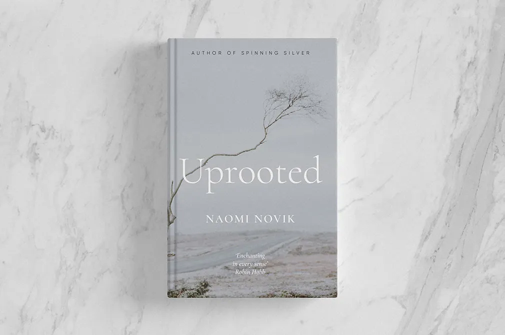 Book Cover Template