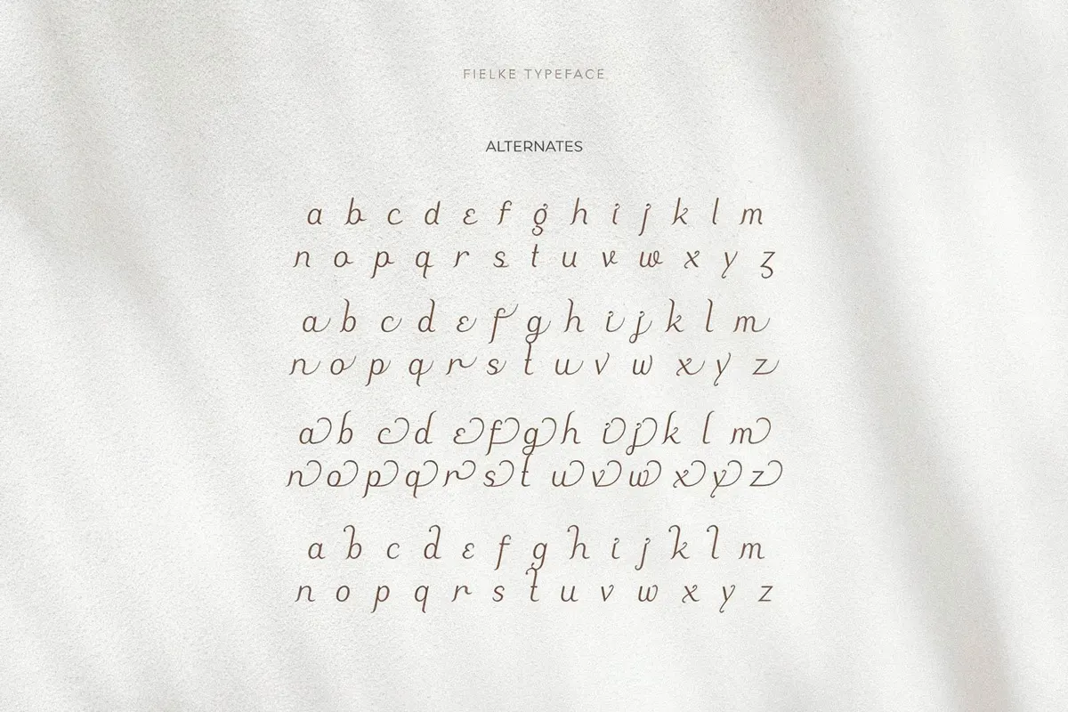 Fielke - Decorative Serif