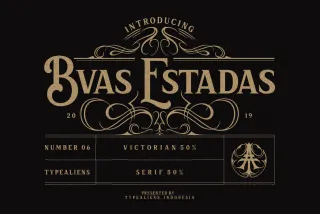 Bvas Estadas - Vintage Victorian Serif Font