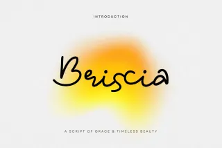 Briscia – A Graceful Script Font