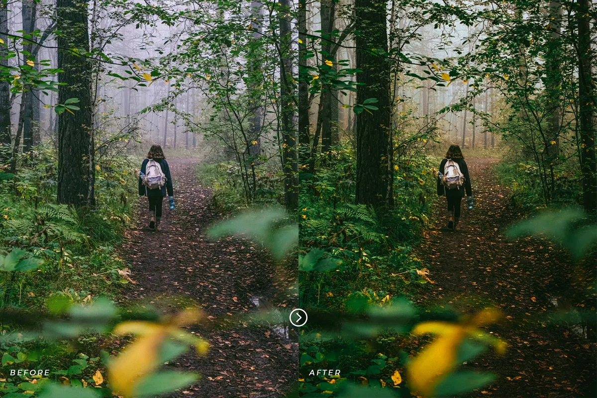 Moody Green Lightroom Presets
