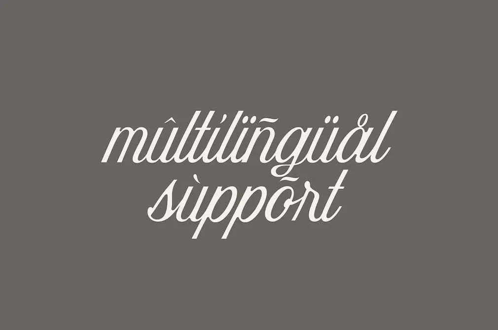 Seasons Script Font