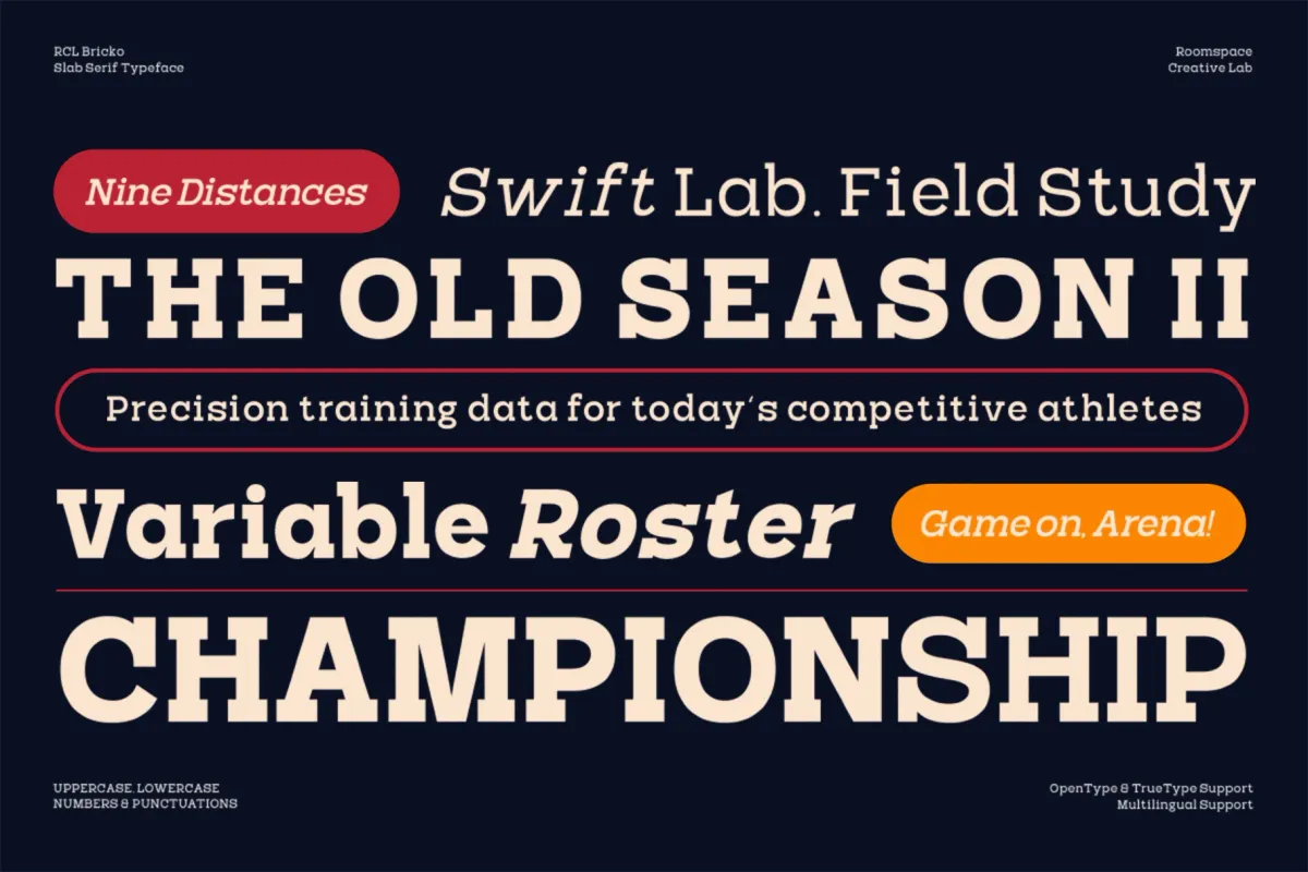 RCL Bricko – Bold Modern Slab Serif Font
