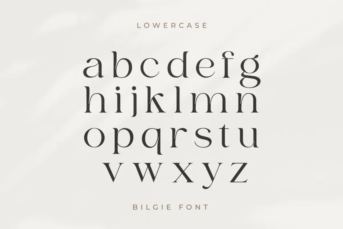 Bilgie - Chic Elegant Font