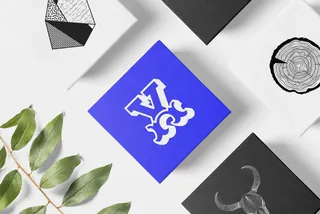 Essential Tokens Vector Set