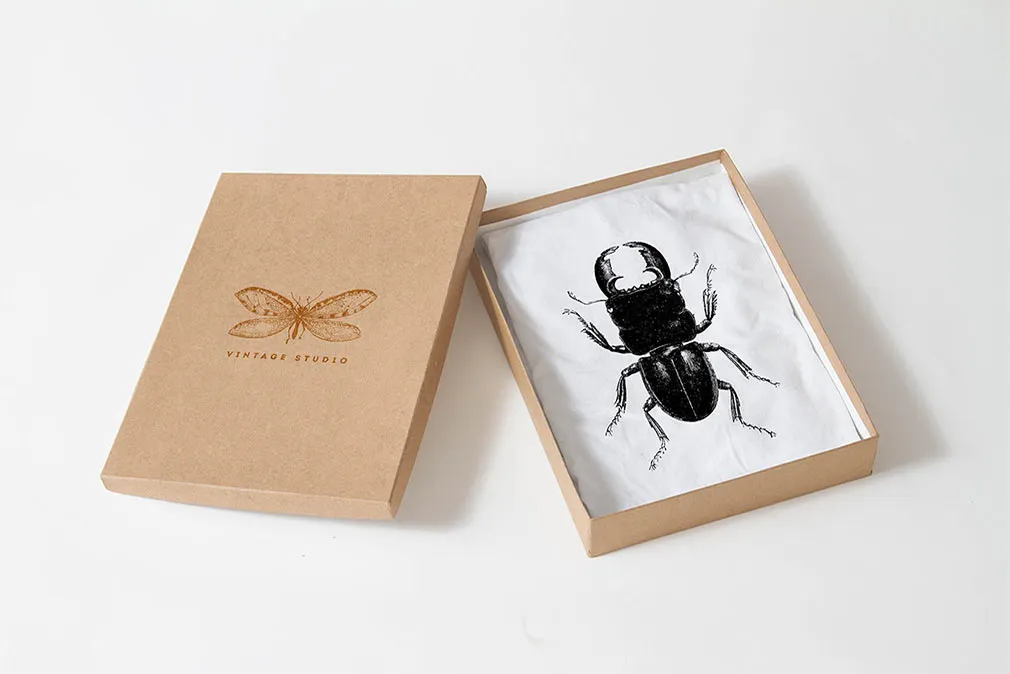 Insecta Vector Illustrations Set