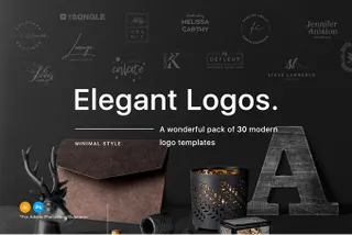 30 Elegant Logo Templates