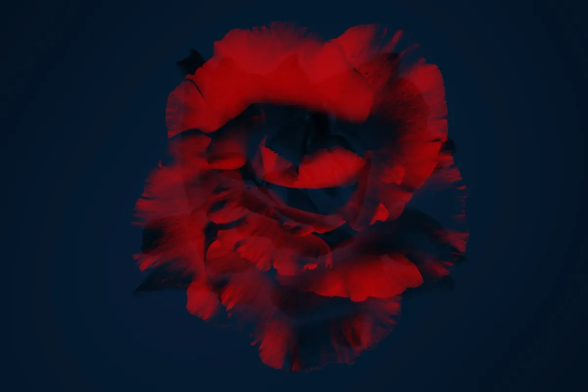 Elegant Flower Photoshop Brushes