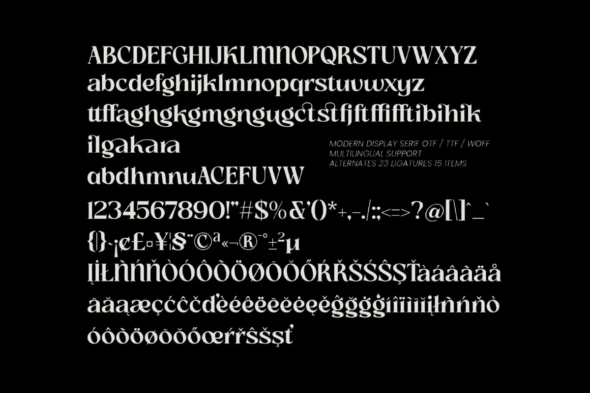 Slow Bar Stories - Retro Display Serif Font