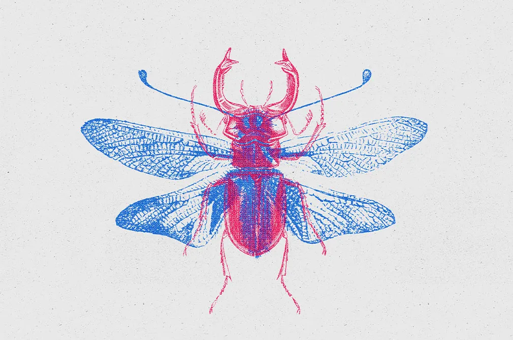 Overprint Photo Effect