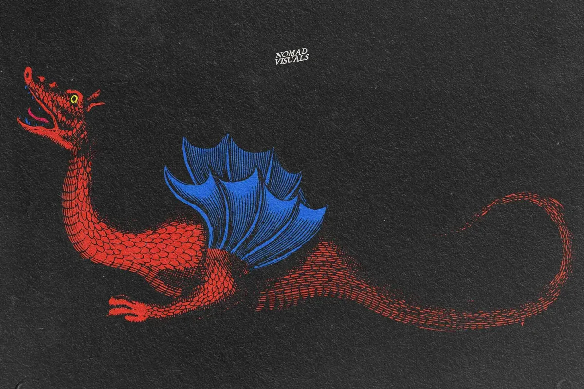 Snakes & Dragons Illustrations
