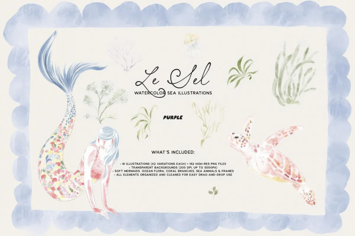 Le Sel: Watercolor Sea Illustrations