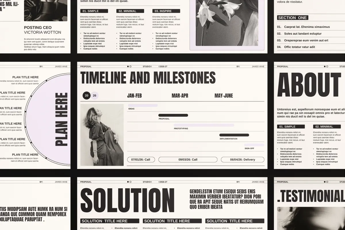 Proposal Presentation Template