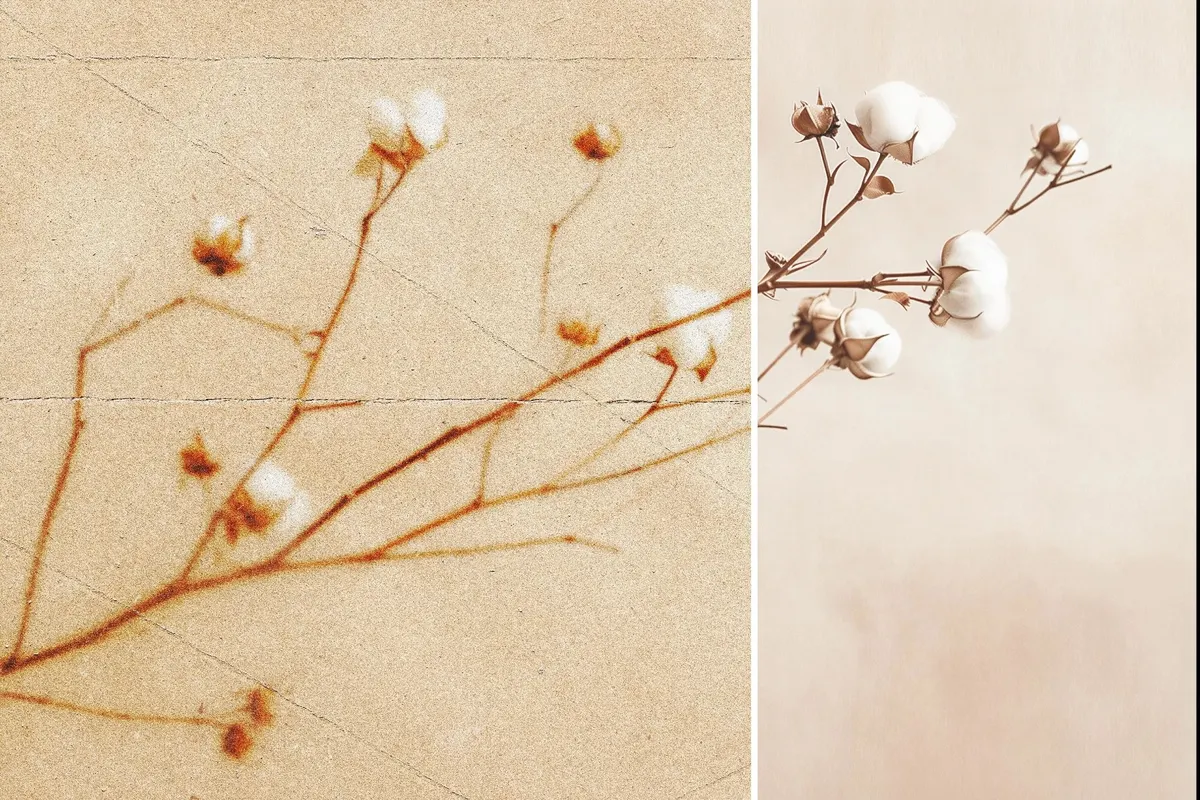 Blurred Folded Paper Photo Effect