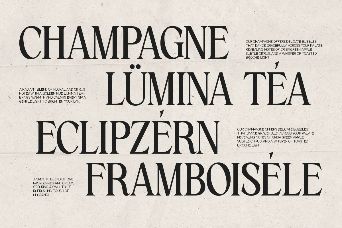 GC Amelie Promised – Italic Serif